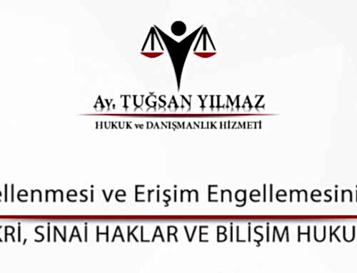 Erişimin Engellenmesi ve Erişim Engellemesinin Kaldırılması